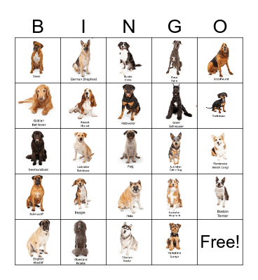 Dog Breed Bingo Card