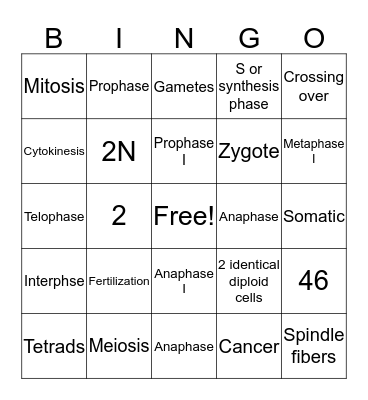 Cell Cycle Bingo Card