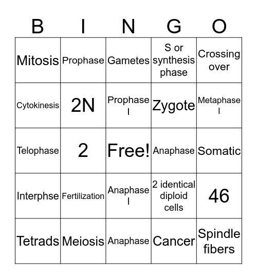 Cell Cycle Bingo Card