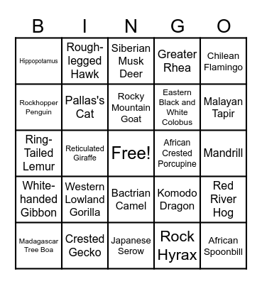Zoo Animals Bingo Card