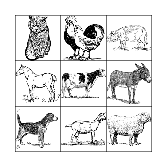 Farm Animal Bingo Card