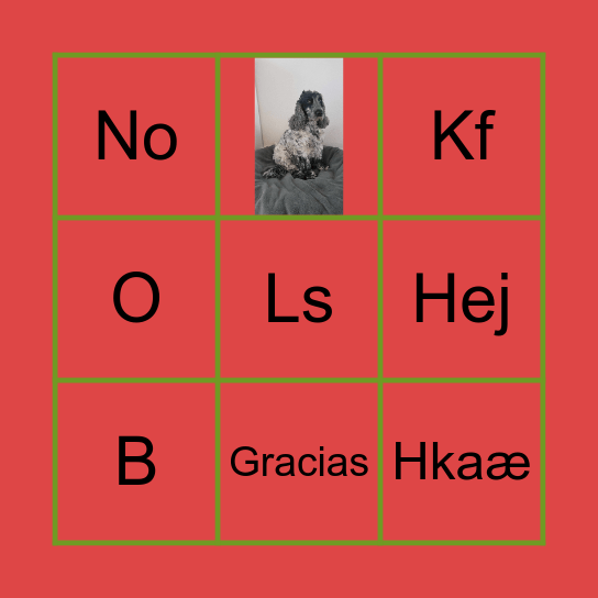 Fødselsdag Bingo Card