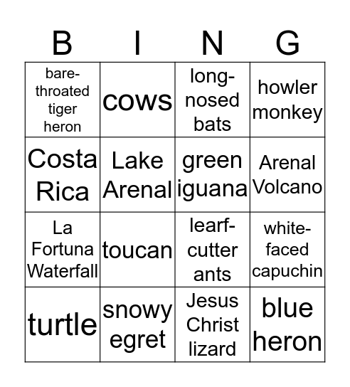 La Fortuna Bingo Card