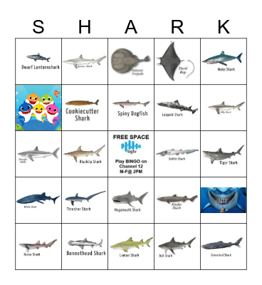 SHARK BINGO Card
