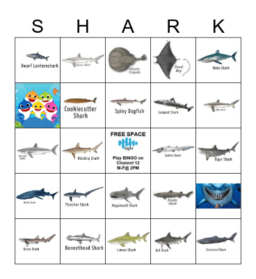 SHARK BINGO Card