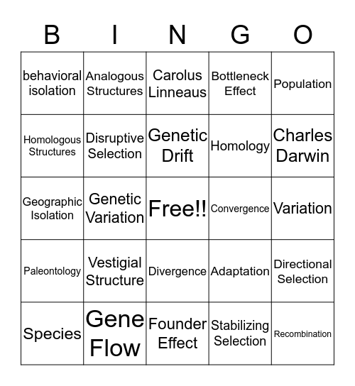 Evolution Bingo Card