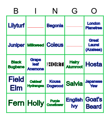 Plant & Weed ID (Father Fagan Park 2023) Bingo Card