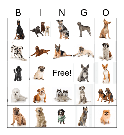 Dog Breed Bingo Card