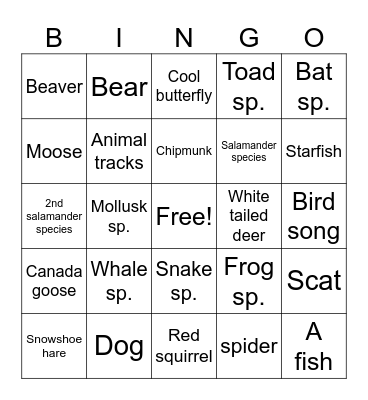 Bird Bingo! Bingo Card