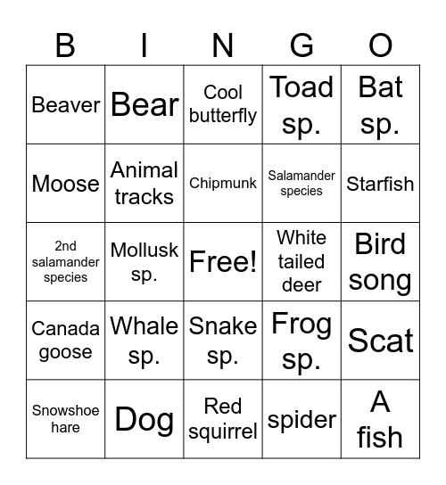 Bird Bingo! Bingo Card