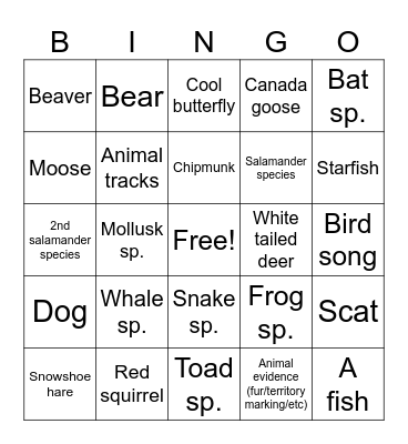 Bird Bingo! Bingo Card