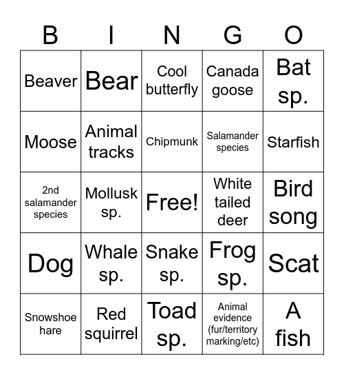 Bird Bingo! Bingo Card