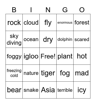 Vocabulary unit 8 Bingo Card