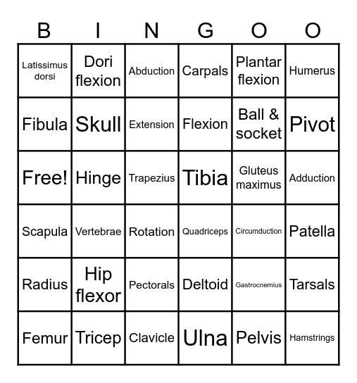 Musculoskeletal System Bingo Card