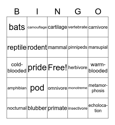 Vertebrate Bingo Card