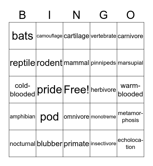 Vertebrate Bingo Card