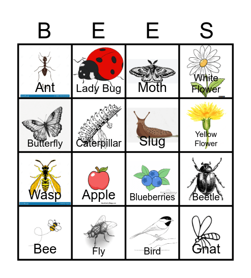 Pollinator Bingo Card