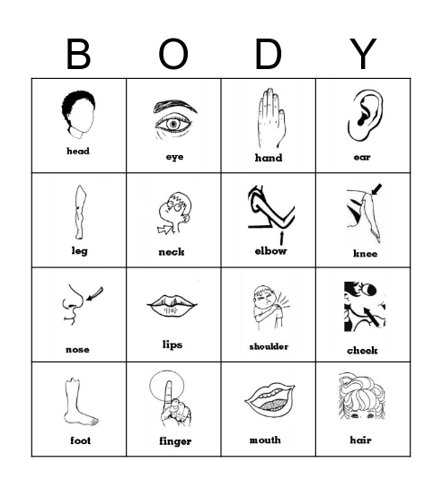 Body Parts Bingo Card