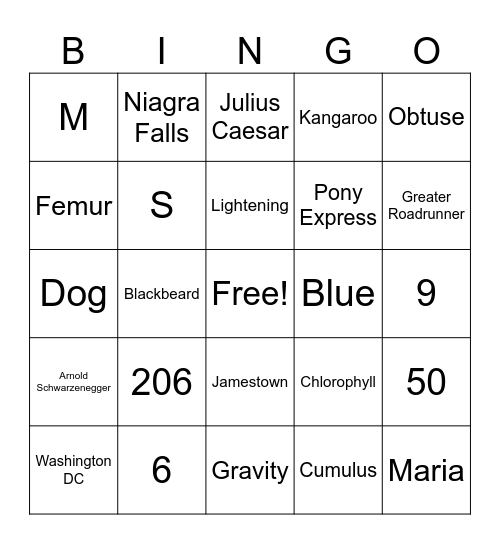 Are You Smarter Than a 5th Grader Bingo Card