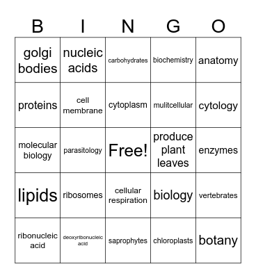 Apologia General Science 3rd Edition Module 11 Bingo Card