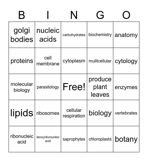 Apologia General Science 3rd Edition Module 11 Bingo Card