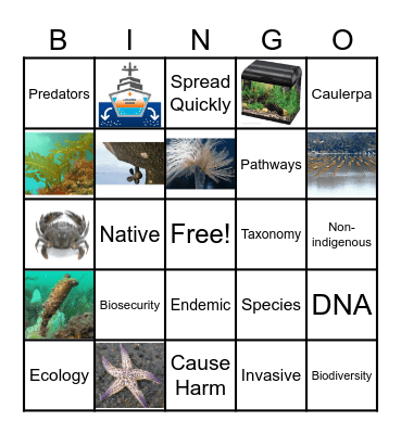 Biodiversity & Biosecurity Bingo Card