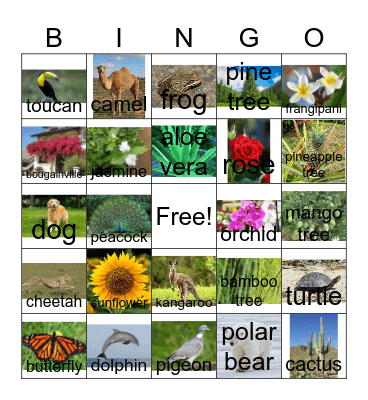 Plants and Animals Bingo Card