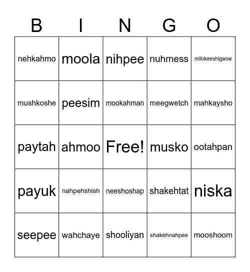 Everything Goes Bingo Card