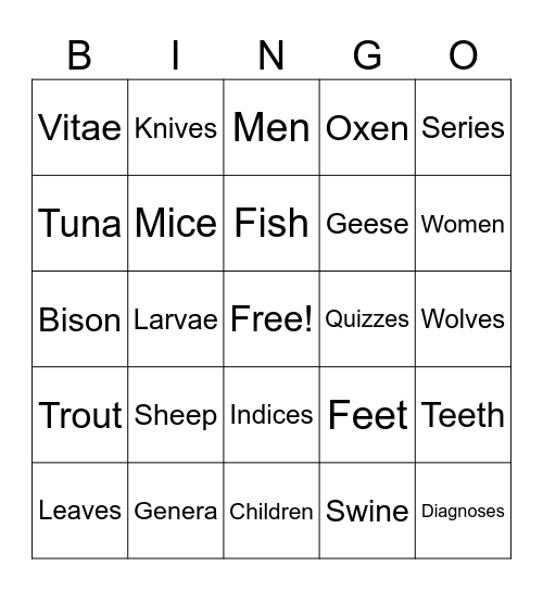 Plural Noun Bingo Card