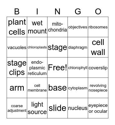 Cell Organelles and Microscopes Bingo Card