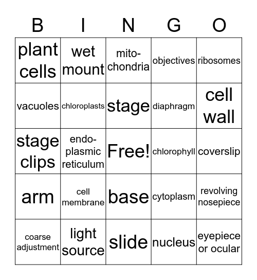 Cell Organelles and Microscopes Bingo Card