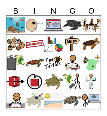 News2You- Tour de Turtles Bingo Card