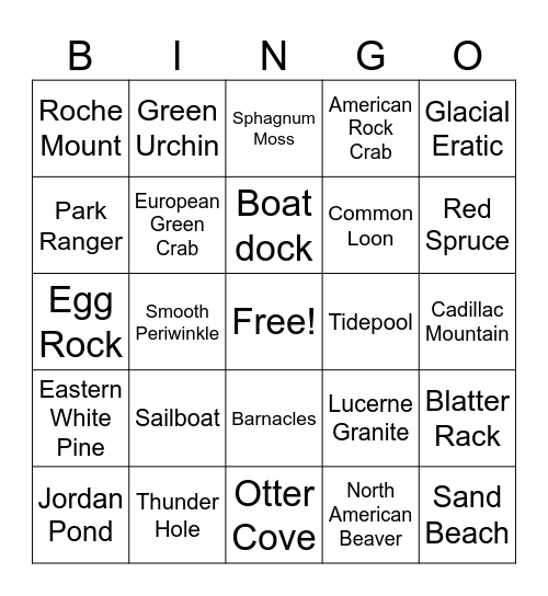 Acadia Bingo Card