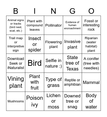 Leave What You Find - Leave No Trace Bingo Card