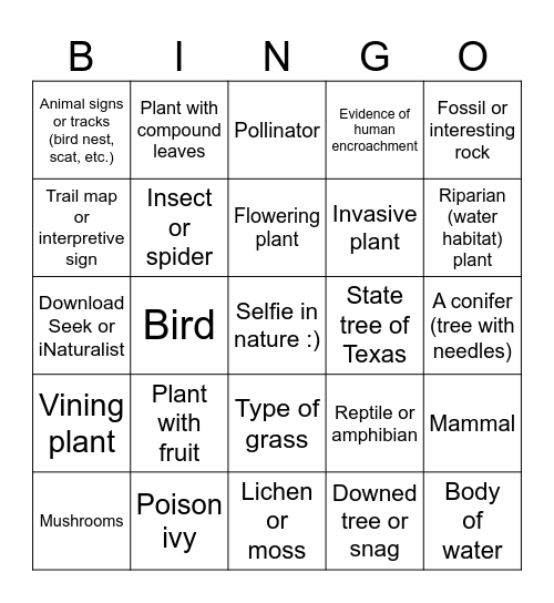 Leave What You Find - Leave No Trace Bingo Card