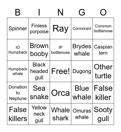 NOC Ceraceans Bingo Card