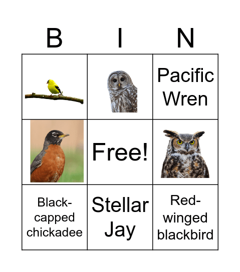 Badass Birder Bingo Card