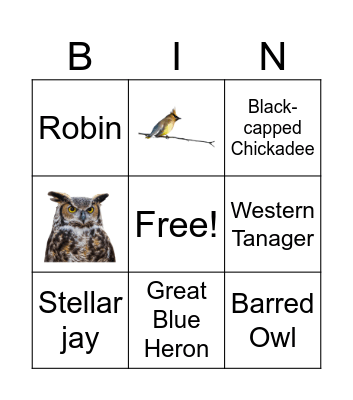 Badass Birder Bingo Card