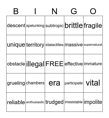 Vocabulary E Bingo Card