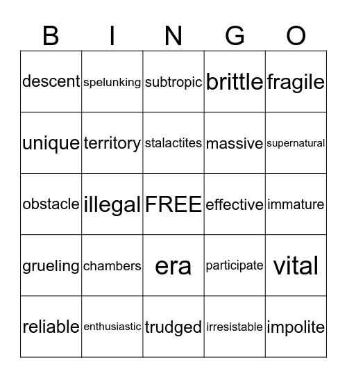 Vocabulary E Bingo Card