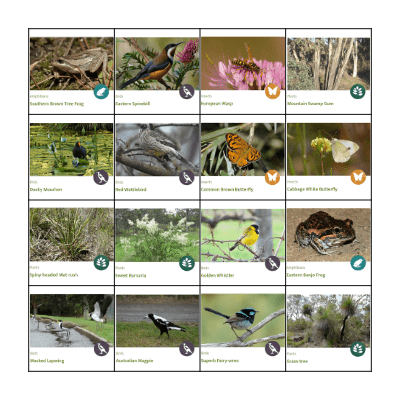 Haining Farm Bingo Card