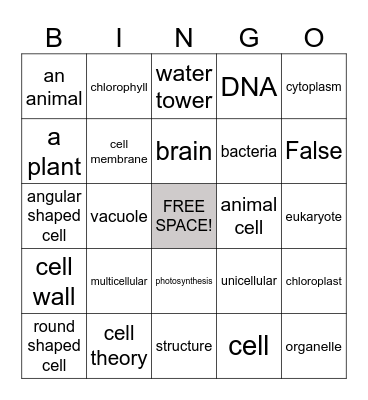 Cell Test Review Bingo Card