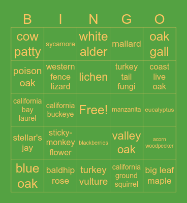 Sunol Fall Stroll Bingo Card