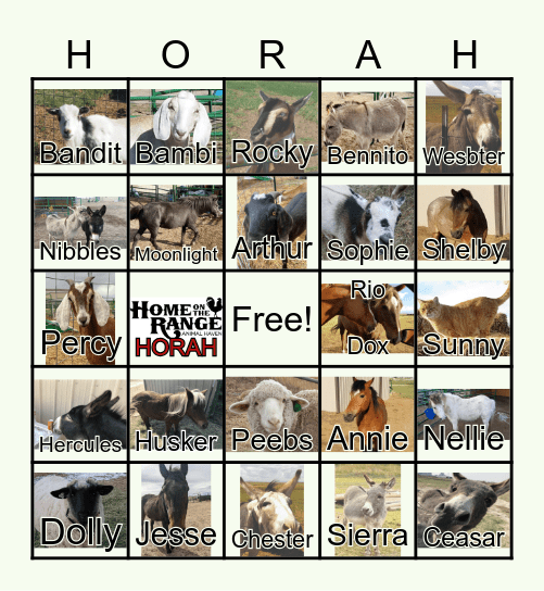 Family Fun Fair Bingo Card