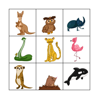 Animals Bingo Card