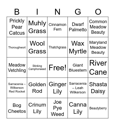 Bog Garden Bingo Card