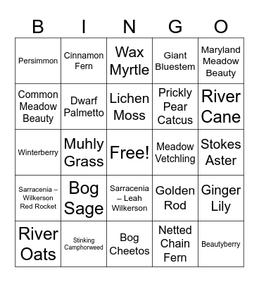 Bog Garden Bingo Card