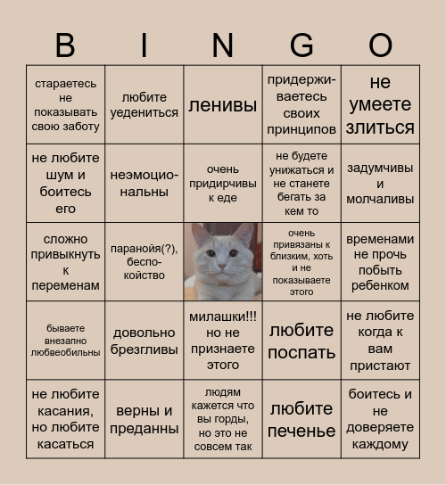 моника кинни бинго Bingo Card