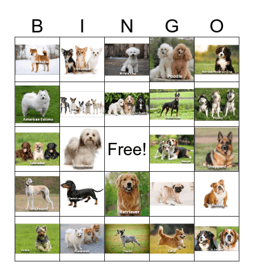 Dogs Bingo Card