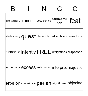 Vocabulary Level D Bingo Card